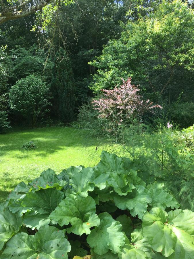 Un Coin De Foret Courmas Exterior photo